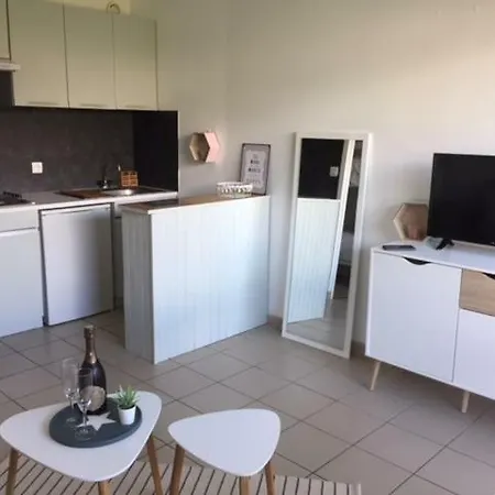 Les Goelands Piscine Et Jardin Appartement