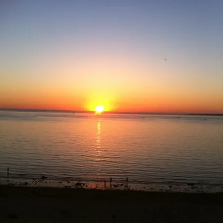 Appartement Les Goelands Piscine Et Jardin