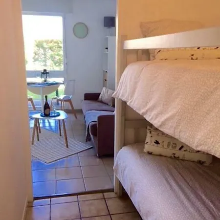 Appartement Les Goelands Piscine Et Jardin *